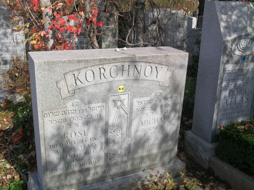 JewishGen Online Worldwide Burial Registry - USA - New York Burial Record