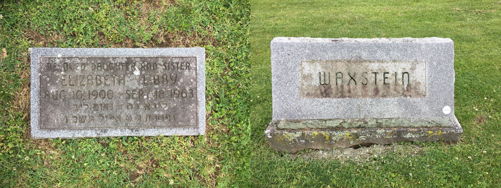 JewishGen Online Worldwide Burial Registry - USA - New York Burial Record