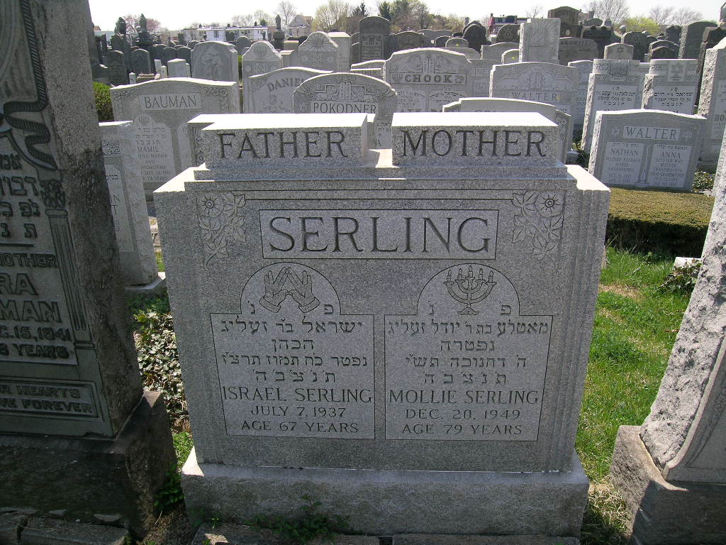 JewishGen Online Worldwide Burial Registry - USA - New York Burial Record
