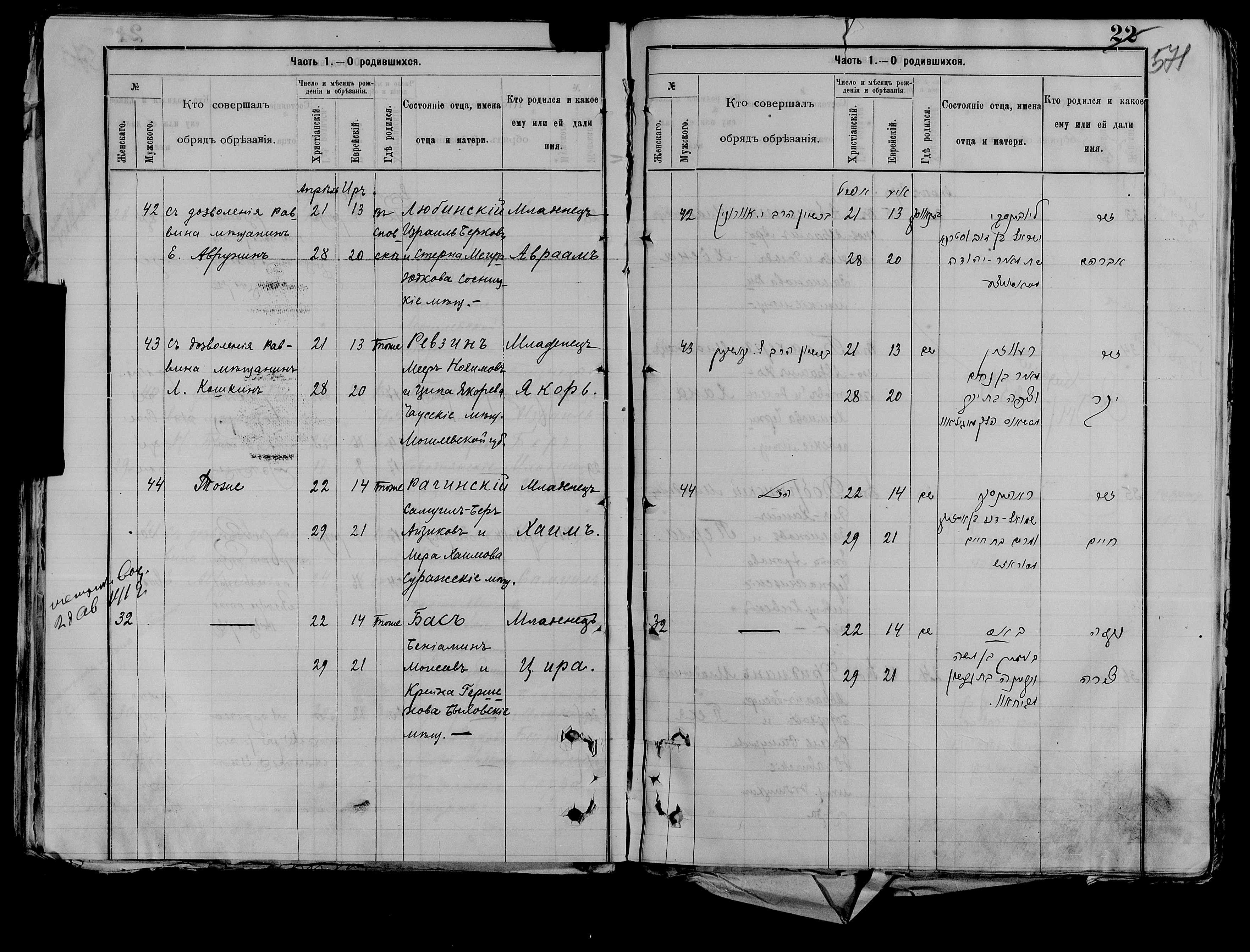 Хана-Райхиль Берковна Рагинская 14 августа 1891, Chernigov_ДАЧгО_679_10_3347-274